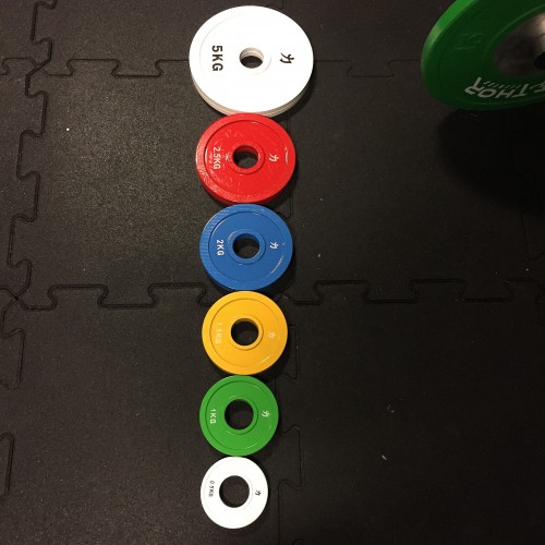 Fractional Plates