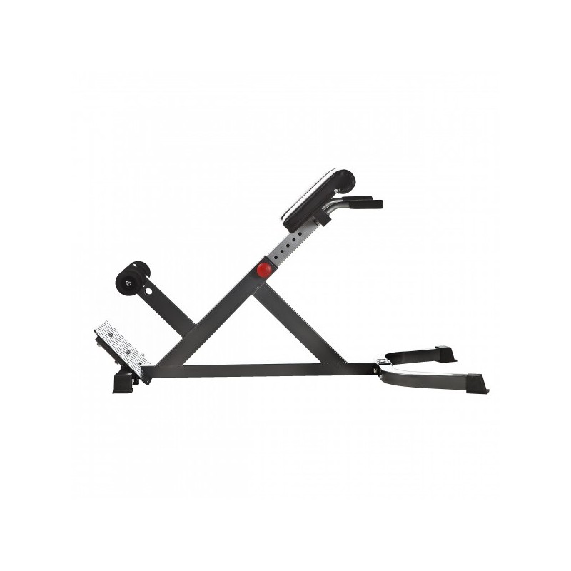 Back Extension 45 grader