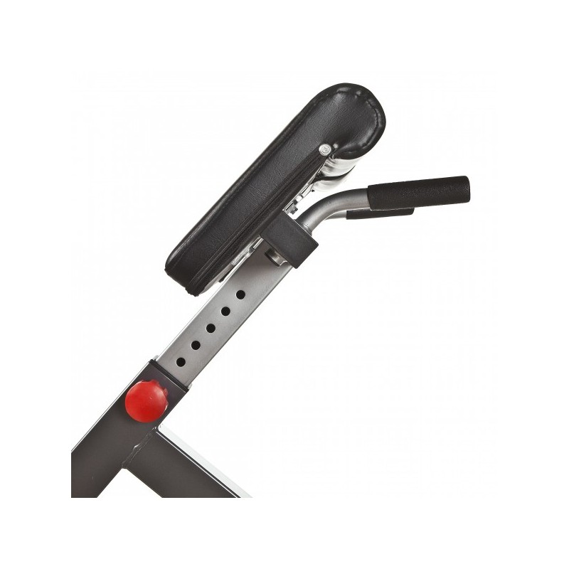 Back Extension 45 grader