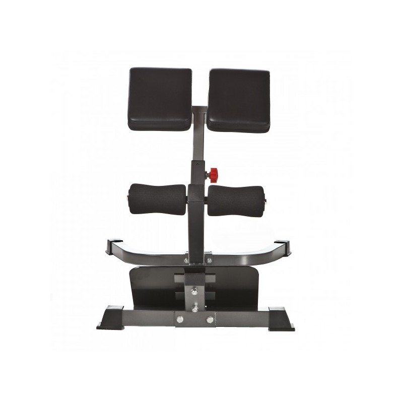 Back Extension 45 grader