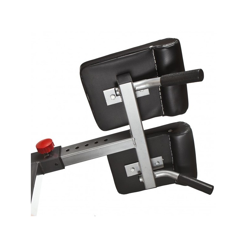 Back Extension 45 grader