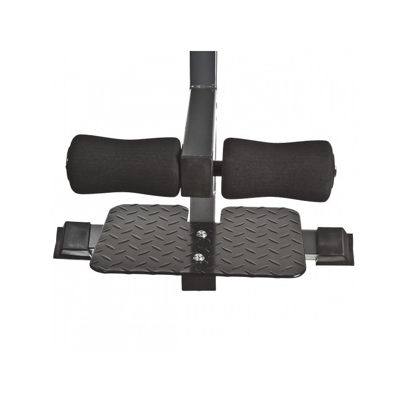Back Extension 45 grader