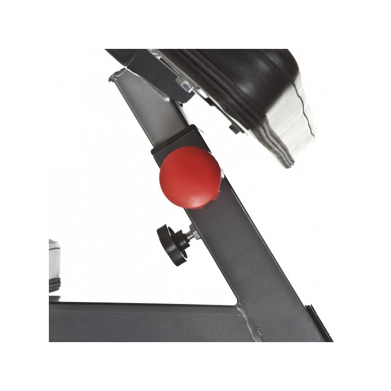 Biceps Curl Bænk